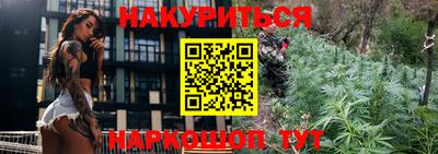 шишки Будённовск