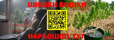 шишки Будённовск