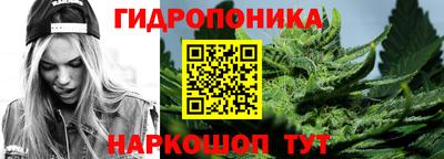 шишки Будённовск